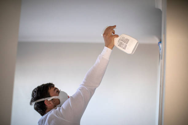 Best Toxic Mold Removal  in Chena Ridge, AK