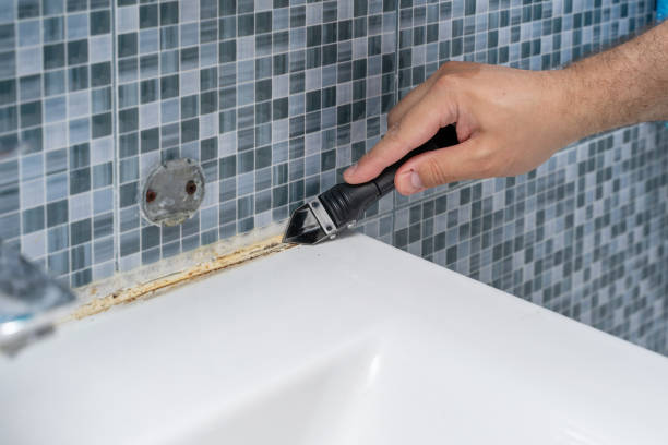 Best Black Mold Removal  in Chena Ridge, AK